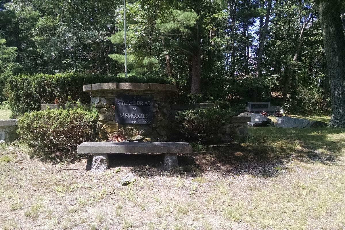 Pine Grove: Cathedral of Memories