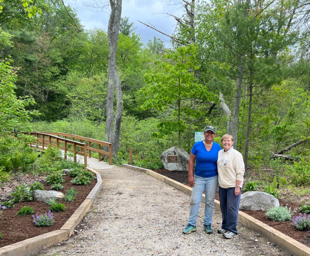 town forest entrance
