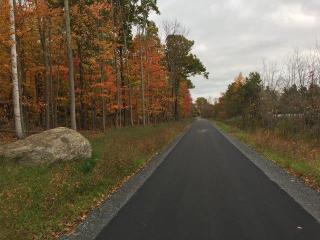 View Looking down the Salem Bike-Ped Corridor Beside Trees with Fall Foliage